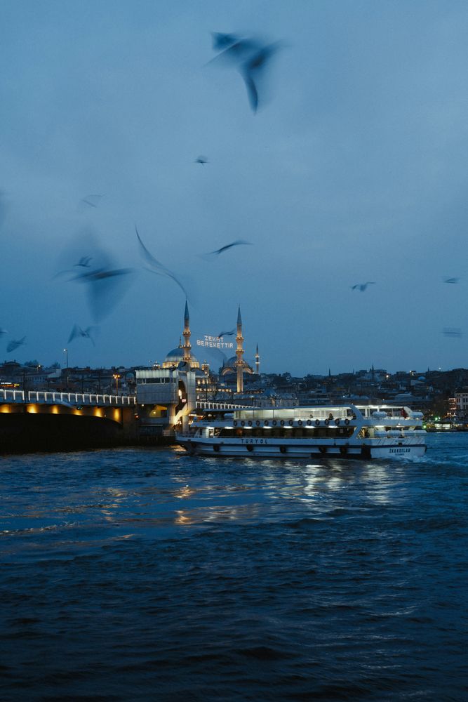 Die Galatabrücke zur blauen Stunde mit einer Fähre, Möwen und der beleuchteten Yeni Cami
